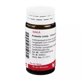 PRIMULA COMP.Gloobulid, 20 g