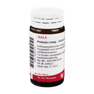 Primula komp.Gloobulid, 20 g