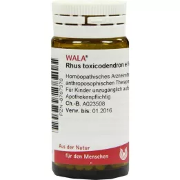RHUS TOXICODENDRON E foliis D 6 kapslit, 20 g