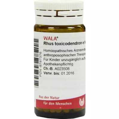 RHUS TOXICODENDRON E foliis D 6 kapslit, 20 g