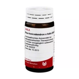 RHUS TOXICODENDRON E foliis D 30 kapslit, 20 g