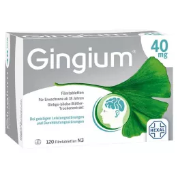 GINGIUM 40 mg õhukese polümeerikattega tabletid, 120 tk
