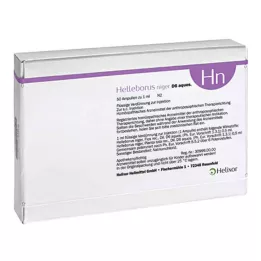 HELLEBORUS NIGER D 6 aquos.ampulli, 50 tk
