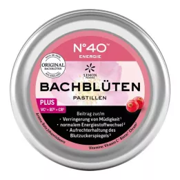 ENERGIE BACHBLÜTENPASTILLEN vastavalt dr.Bachile 50 g