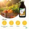 Multivitamiini energeetiline Salus, 500 ml