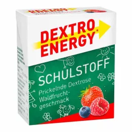 DEXTRO ENERGY Koolimaterjal Forest Fruit tabletid, 50 g