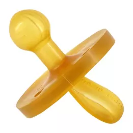 GOLDISAUGER looduslik kuju 4-11 kuud, 1 tk