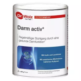 DARM ACTIV Dr.Wolz pulber, 400 g