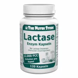 LACTASE 12,000 FCC ensüümikapslid, 120 tk