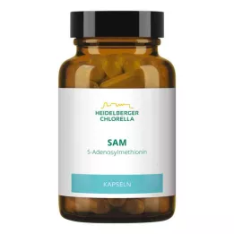 SAM S-ADENOSYLMETHIONIN kapslid, 60 tk