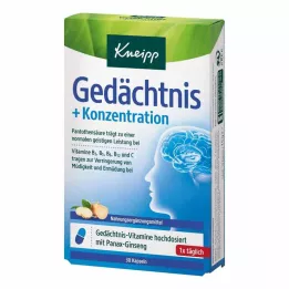 KNEIPP Mälu+Kontsentratsioon kapslid, 30 kapslit