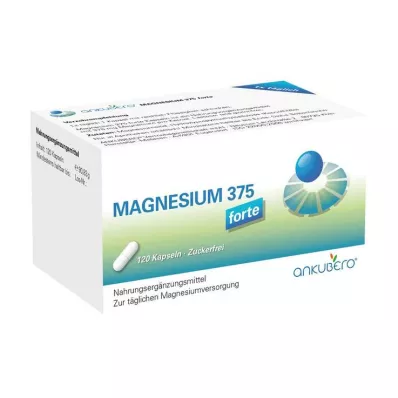 MAGNESIUM 375 forte kapslit, 120 tk