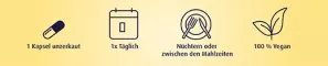 Instructions for use for B-vitamiini kompleks + Biotin Forte kapslid, 90 tk - 2