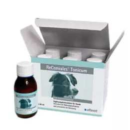 RECONVALES Toonik koertele, 6X90 ml