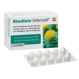 RHODIOLA-INTERCELL Kapslid, 60 tk