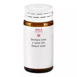 GENTIANA LUTEA 5%-line emaltinktuur globuli velati, 20 g