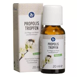 PROPOLIS TROPFEN ilma alkoholita, 20 ml
