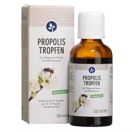 PROPOLIS TROPFEN ilma alkoholita, 50 ml