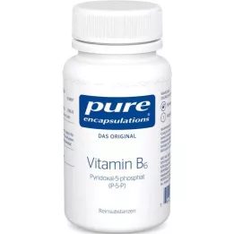 PURE ENCAPSULATIONS Vitamiin B6 P-5-P kapslid, 90 kapslit