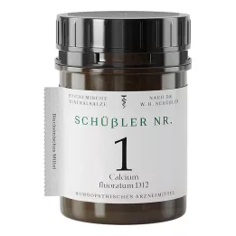 Schüssler No.1 Calcium fluoratum D12 tabletid, 400 tk