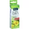 KNEIPP Arnica salv S, 20 g