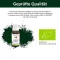 BITTERKRAFT Algne vedelik, 20 ml