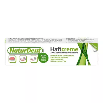 NATURDENT Liimikreem, 40 g