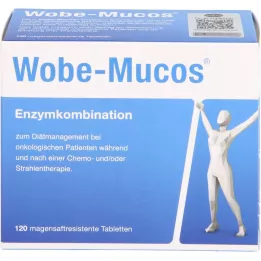 WOBE-MUCOS kõhukese polümeerikattega tabletid, 120 tk