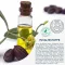 Free Oil Hydrolipid niisutav kreem, 50 ml