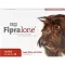 FIPRALONE 134 mg suukaudne lahus keskmise suurusega koertele, 4 tk