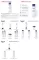 Instructions for use for Eucerini UreaRepair Original Lotion 3%, 250 ml - 2