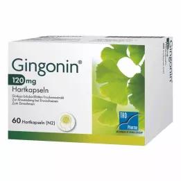 GINGONIN 120 mg kõvakapslid, 60 tk