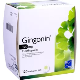 GINGONIN 120 mg kõvakapslid, 120 tk
