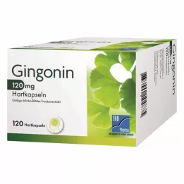 GINGONIN 120 mg kõvakapslid, 120 tk