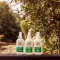 Care Plus Anti Insect 50% Deet Spray, 200 ml