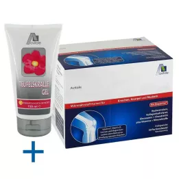 GELENKNAHRUNG+Hyaluroonhappe graanulid, 30X15 g
