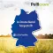Pollicrom ninasprei, 15 ml