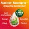 Aspecton® ninasprei, 20 ml