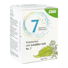 KRÄUTERTEE koos Schuessleri soolaga nr. 7 Salus Fbtl., 15 tk