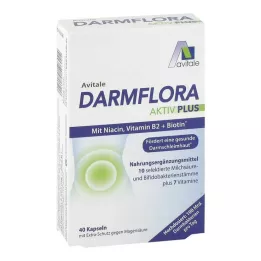 DARMFLORA Active Plus 100 miljardit bakterit + 7 vitamiini, 40 tk