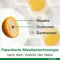 Curcumin-Loges plus Boswellia kapslid, 120 tk