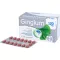 GINGIUM 120 mg õhukese polümeerikattega tabletid, 120 tk