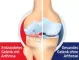 Instructions for use for GELENCIUM® arthro tilgad, 100 ml - 2