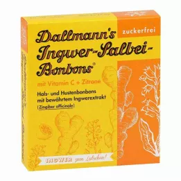 DALLMANNS ingveri-salvei kommid, 37 g