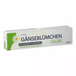 GÄNSEBLÜMCHEN Nõiakaunistussalv &amp; Panthenol, 50 ml