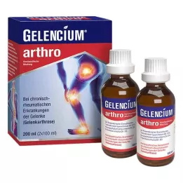 GELENCIUM arthrosegu, 2X100 ml