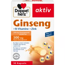 DOPPELHERZ ženšenn 250+B vitamiinid+tsink kapslid, 30 kapslit