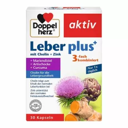 DOPPELHERZ Maksa pluss koliin+tsink kapslid, 30 tk