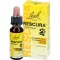 BACHBLÜTEN Original Rescura Pets Tro.alk.frei vet., 10 ml