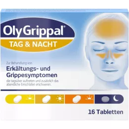 OLYGRIPPAL päev &amp; öö 500 mg/60 mg tabletid, 16 tk